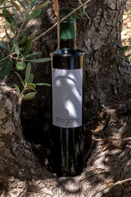 Guided oil tasting with tour of olive grove in Agrigento - Visiting an Olive Grove A Few Kilometers from Agrigento