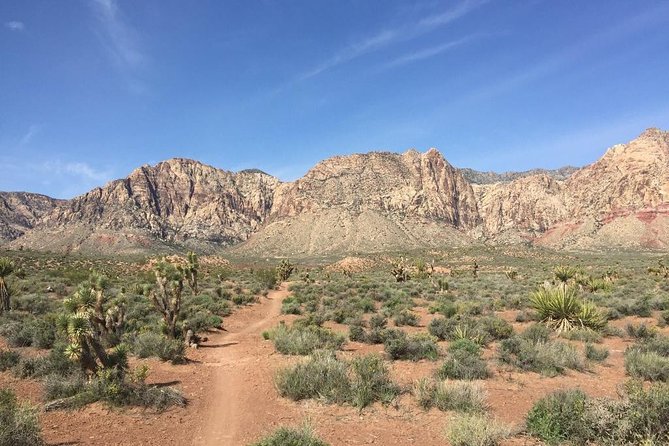 Guided or Self-Guided Road Bike Tour of Red Rock Canyon - Physical Requirements and Suitability