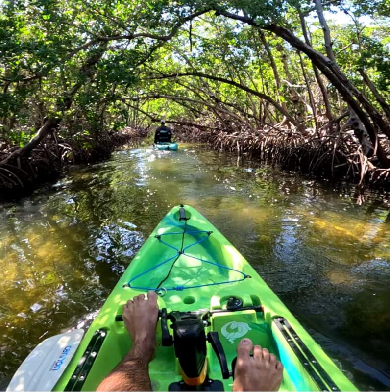 Guided Pedal Kayak Tours in Anna Maria and Bradenton - Key Points