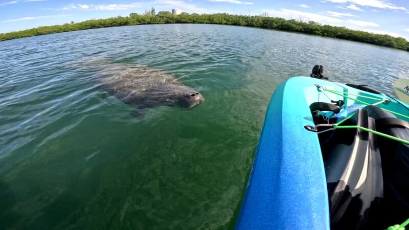 Guided Pedal Kayak Tours in Anna Maria and Bradenton - Starting Points and Locations in Anna Maria and Bradenton