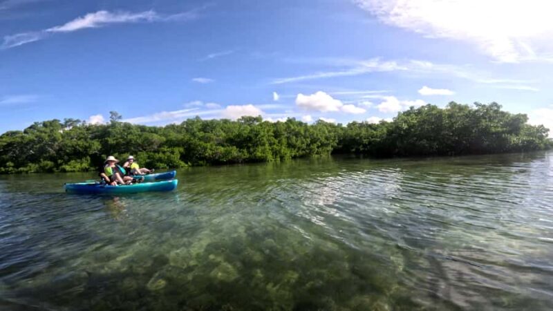 Guided Pedal Kayak Tours in Anna Maria and Bradenton - Comparing This Tour to Similar Florida Kayaking Experiences