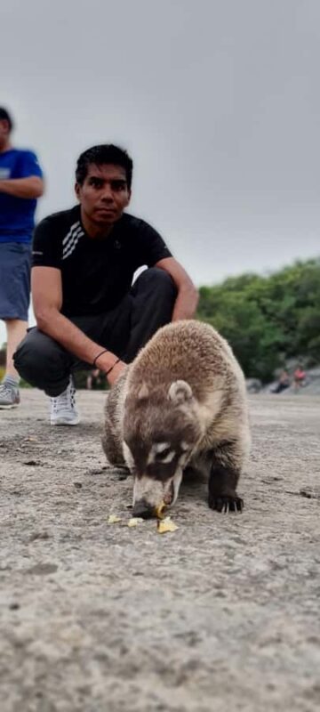 Guided Pico Norte Summit Hike on Cerro de la Silla Monterrey - The Role of Guides in Ensuring an Enjoyable Experience