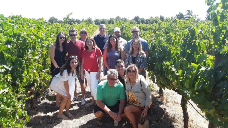 Guided Private Wine Tour to Napa and Sonoma Wine Country - Experience the Best of California Wine Country in a Private Setting