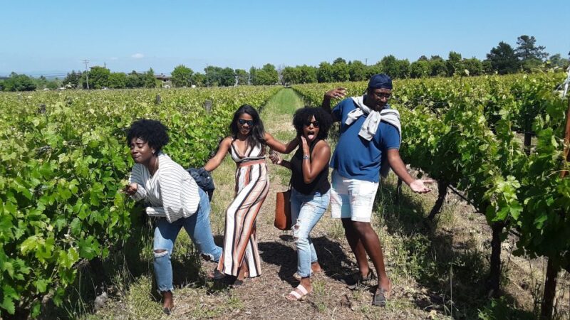 Guided Private Wine Tour to Napa and Sonoma Wine Country - Scenic Towns and Lunch Options in Napa and Sonoma