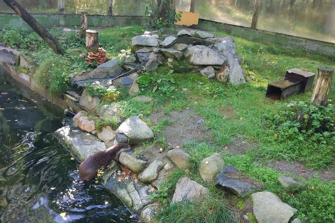 Guided Ranua Wildlife Park tour with Lunch, Small group adventure - Exploring Ranua Zoo: What You’ll See