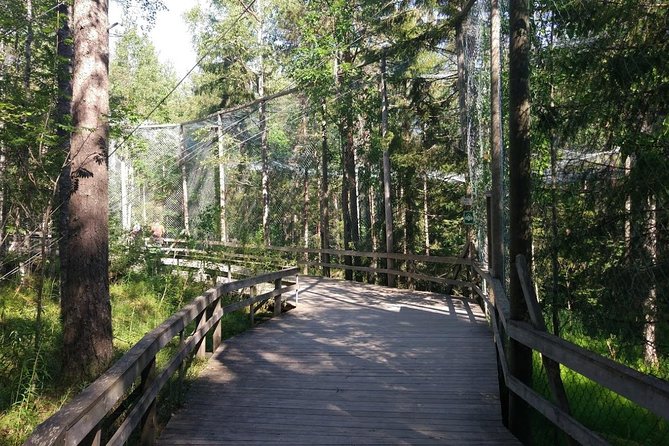 Guided Ranua Wildlife Park tour with Lunch, Small group adventure - Cancellation and Flexibility