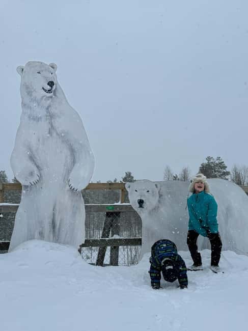 Guided Ranua Wildlife Zoo Tour with Lunch Buffet - Safety and Practical Considerations