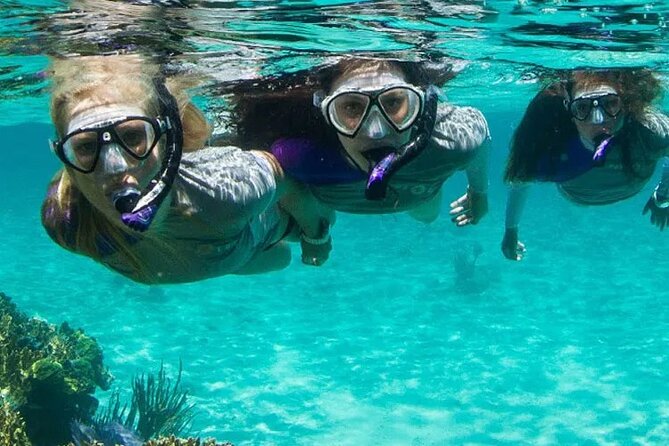 Guided Reef Snorkeling Tour in Pompano Beach - Discover the Guided Reef Snorkeling Tour in Pompano Beach