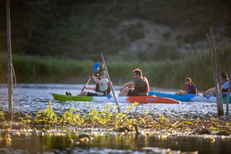 Guided Safari Kayaking Tour in Neretva Valley - Wildlife Encounters and Nature Views