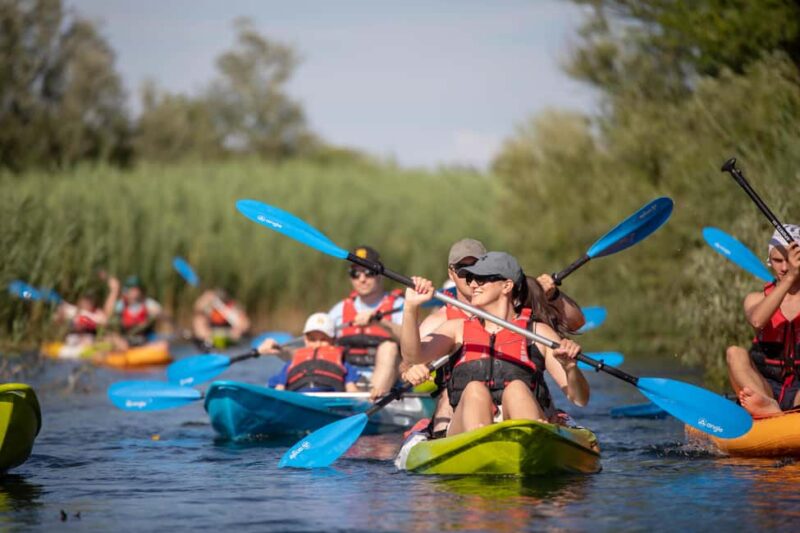 Guided Safari Kayaking Tour in Neretva Valley - Important Rules and Safety Considerations