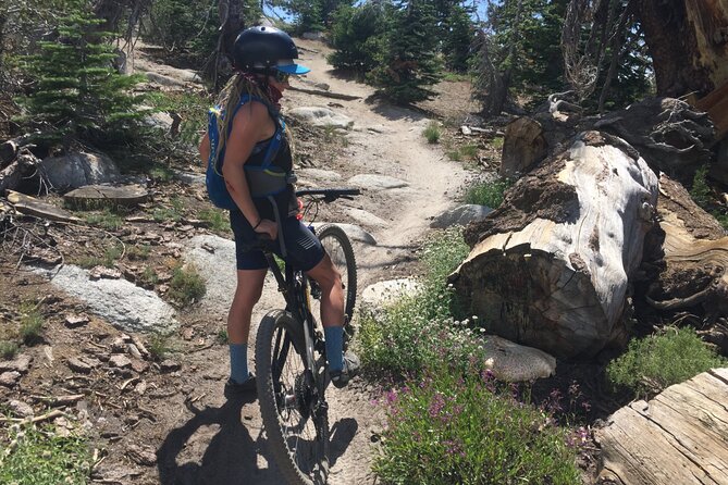 Guided Scenic Bike Experience above Lake Tahoe's East Shore - Scenic Highlights Along the East Shore