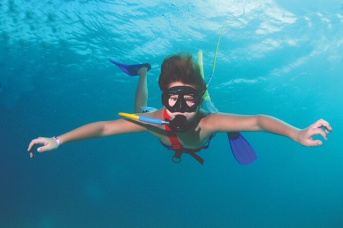 Guided Scuba Diving in Cabo Pulmo - Key Points