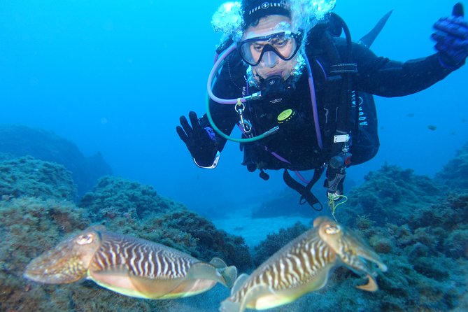 guided Scuba Diving on Tenerife (for certified divers) - Why This Tour Stands Out in Tenerife