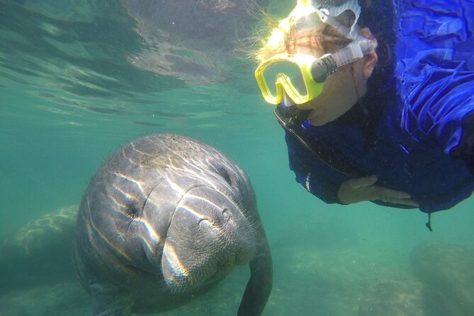 Guided Semi-Private Snorkel Tour (w/ FREE Photos!) - Explore the Crystal River Snorkel Adventure with Manatees in Paradise