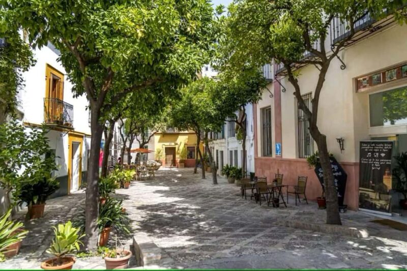 Guided Seville Sightseeing & Food Tour with Rooftop Bar - The Value of a Guided Walk and a Rooftop Drink