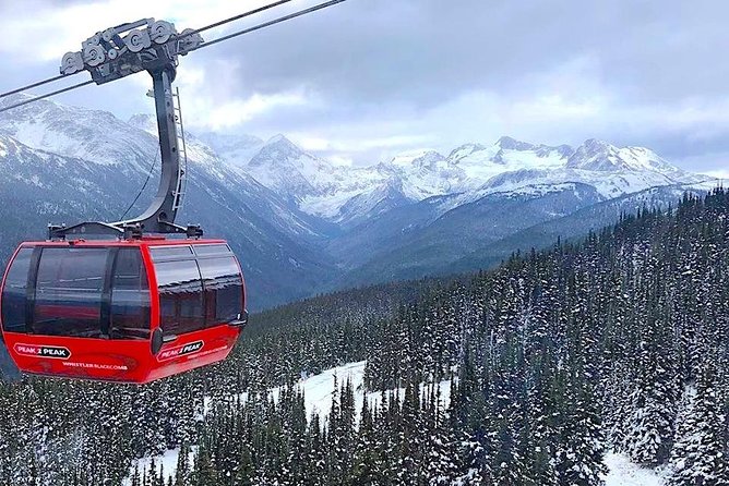 Guided Sightseeing Tour in Vancouver, Shannon Falls and Whistler - Watching for Bald Eagles at Brackendale Eagle Reserve