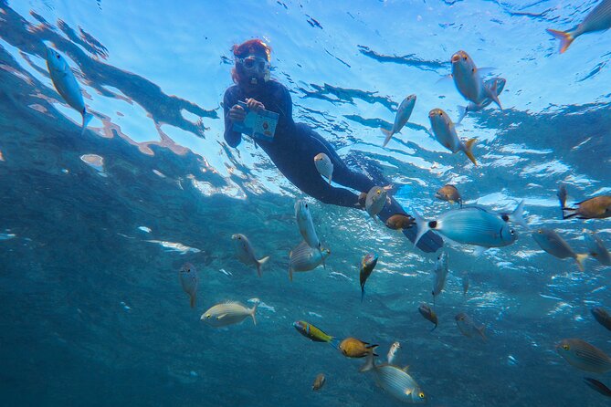 Guided Snorkel Experience - The Meeting Point and Tour Timing in Playa Blanca