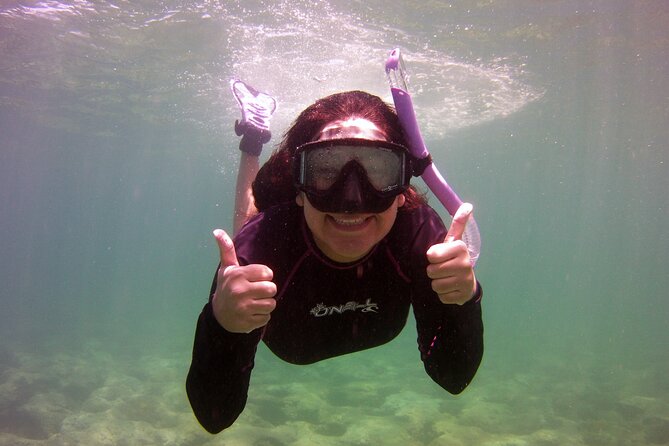Guided Snorkel Experience in Fort Lauderdale - Discover the Guided Snorkel Experience in Fort Lauderdale for $55