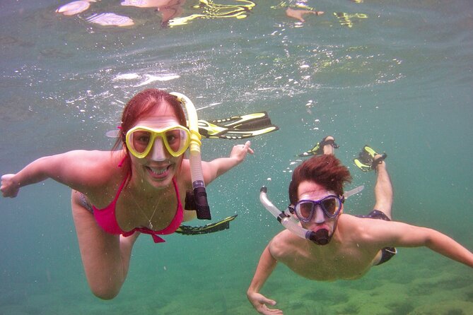 Guided Snorkel Experience in Fort Lauderdale - Snorkeling Equipment and Instruction for Beginners