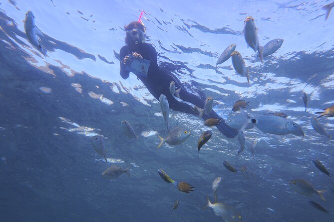 Guided Snorkeling Experience - Reviews Highlight the Friendly Guides and Family Appeal