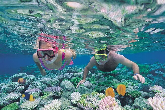 Guided Snorkeling Experience in Caleta de Fuste - Flexibility with Departure Times and Suitability for All Ages