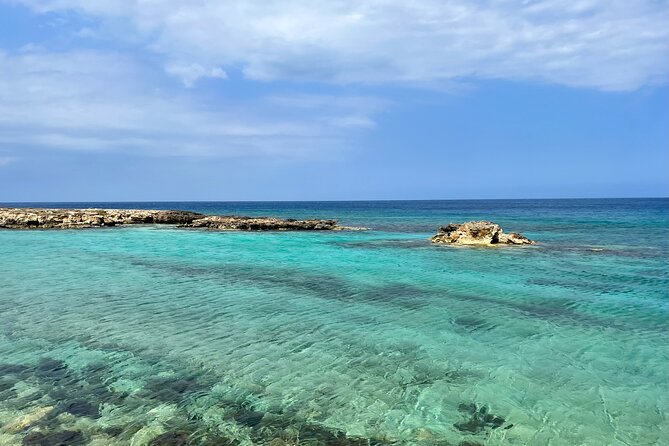 Guided snorkeling trip to the turtles in Protaras - How the Protaras Turtle Snorkeling Tour Stands Out