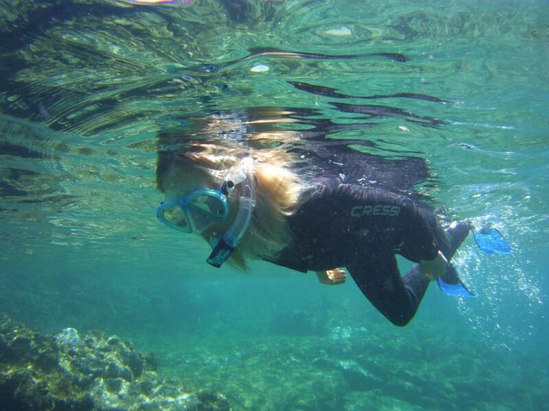 Guided Snorkelling experience in south of Gran Canaria - What Makes This Snorkelling Tour Stand Out on Gran Canaria