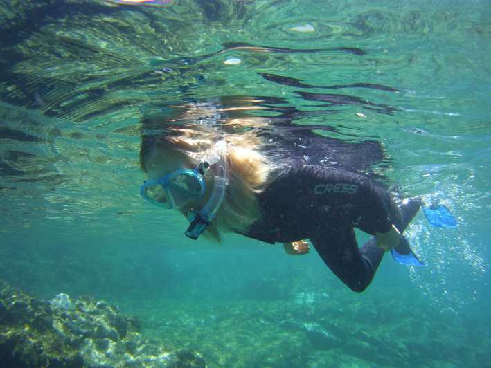 Guided Snorkelling experience in south of Gran Canaria - How the Guided Snorkel Tour Is Structured