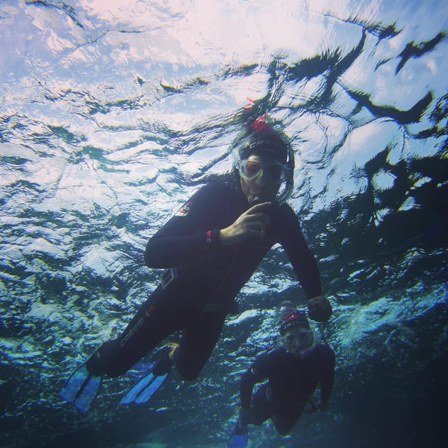 Guided Snorkelling experience in south of Gran Canaria - What to Bring for a Smooth Snorkelling Experience