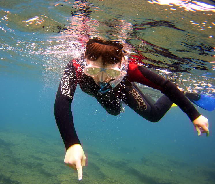 Guided Snorkelling experience in south of Gran Canaria - Cancellation Policy and Booking Flexibility