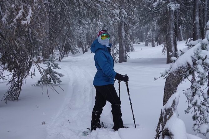 Guided Snowshoe Experience in Lake Tahoe - Nature and Wildlife Tracking Highlights