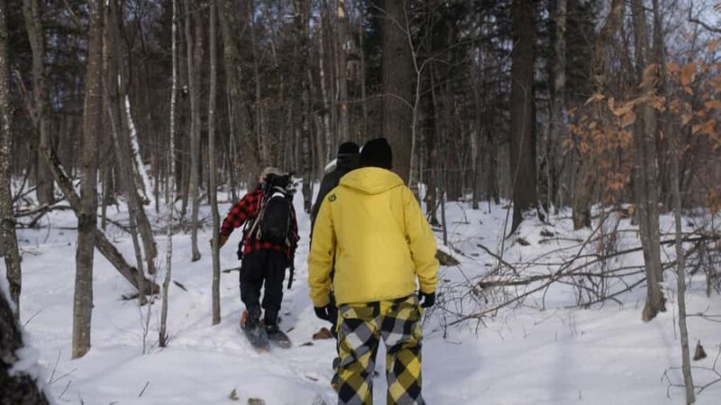 Guided Snowshoe Tour in Mont-Tremblant - Physical Effort and Suitability