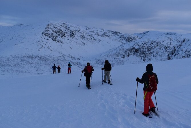 Guided Snowshoe Walk on Tromsoya Island in Tromso - Potential Drawbacks and Considerations