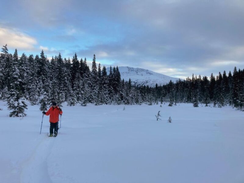 Guided Snowshoeing Adventure from Seward, Alaska - The Value of a 6-Hour Snowshoeing Adventure in Seward