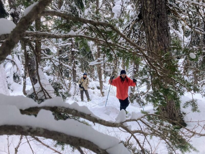 Guided Snowshoeing Adventure from Seward, Alaska - Final Thoughts on the Seward Snowshoeing Tour