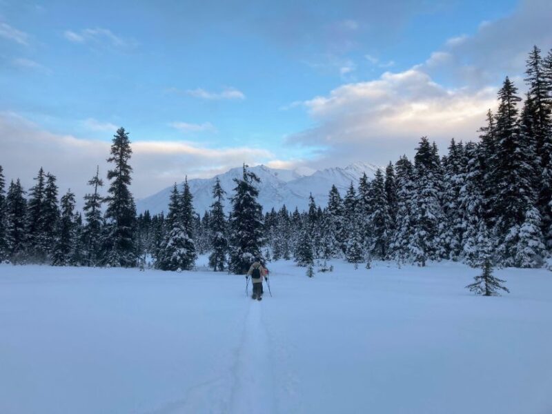 Guided Snowshoeing Adventure from Seward, Alaska - Frequently Asked Questions