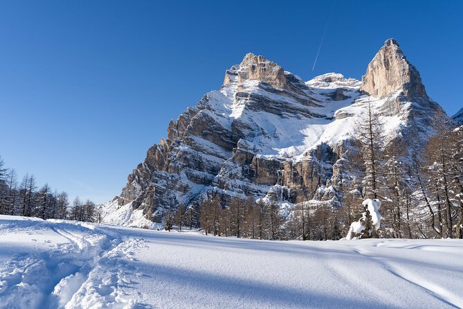 Guided Snowshoeing Day to Discover the Dolomites - The Pacing and Physical Requirements of the Tour