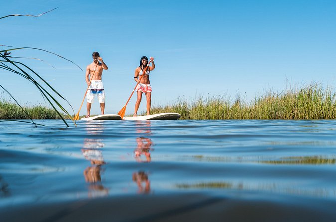 Guided Stand Up Paddleboarding Activity in Hilton Head Island - Comparing This Tour to Other Hilton Head Water Activities