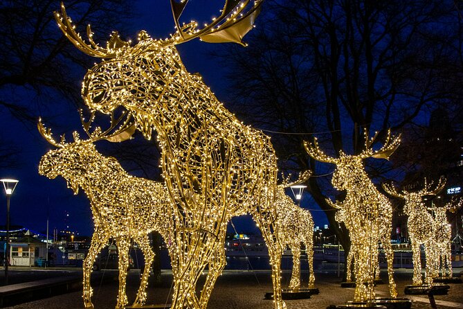 Guided Stockholm Christmas Tour - Marveling at Stockholm’s Tallest Christmas Tree and Lights