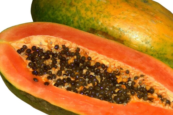Guided Tasting of 15+ Tropical Fruits in Playa del Carmen - Logistics: Meeting Point and Tour Duration
