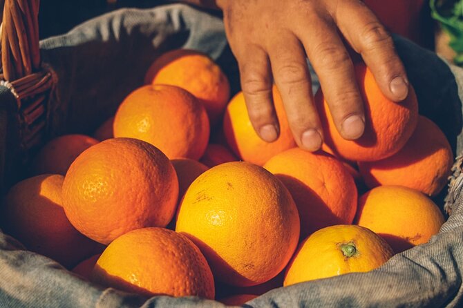 Guided Tasting Tour in 16th century House and Olive Oil Factory - Seasonal Variations and Extra Activities