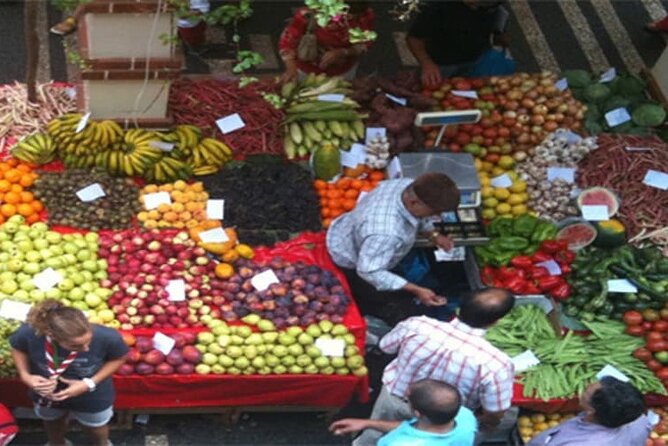 Guided Toboggan Ride and Madeira Wine Tasting Tour - Experience the Best of Madeira in Just Over Four Hours