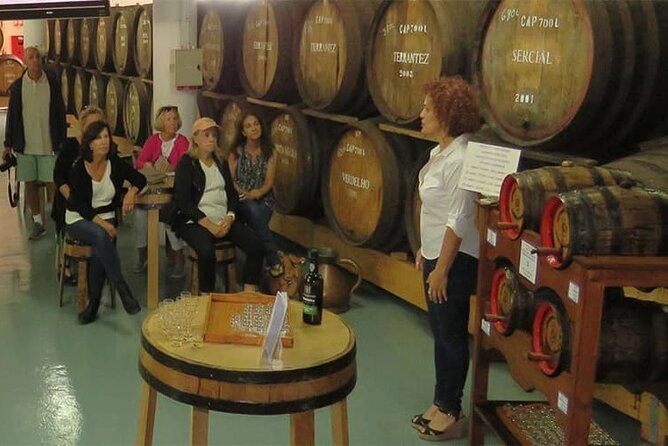 Guided Toboggan Ride and Madeira Wine Tasting Tour - Key Points