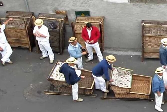 Guided Toboggan Ride and Madeira Wine Tasting Tour - Exploring the Beautiful Gardens and Panoramic Views