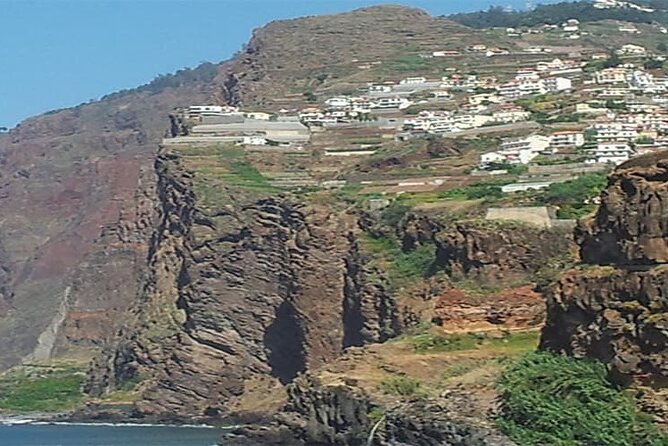 Guided Toboggan Ride and Madeira Wine Tasting Tour - Practical Details and Tour Logistics