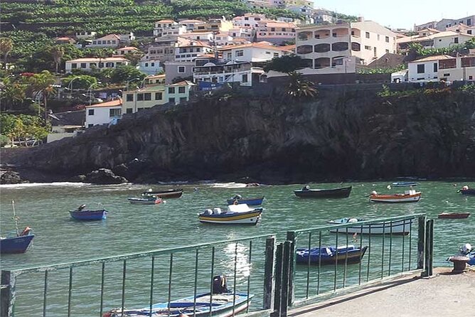 Guided Toboggan Ride and Madeira Wine Tasting Tour - The Unique Appeal of the Madeira Toboggan Experience