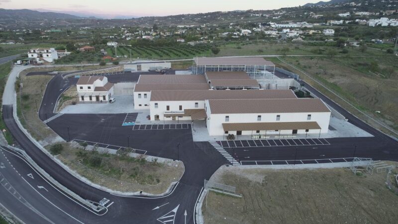 Guided tour and oil tasting at the Aceites Molisur factory - Practicalities: Meeting Point and Accessibility