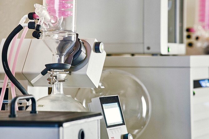 Guided Tour and Tasting at the Distillerie Baccae Paris - Discover the Secrets Behind Parisian Gin at Distillerie Baccae