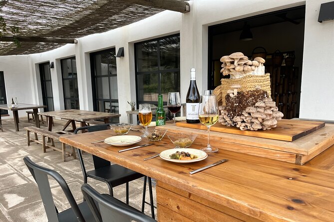Guided tour and tasting in mushroom cultivation - Exploring Menorca’s Hidden Mushroom World for €23.76