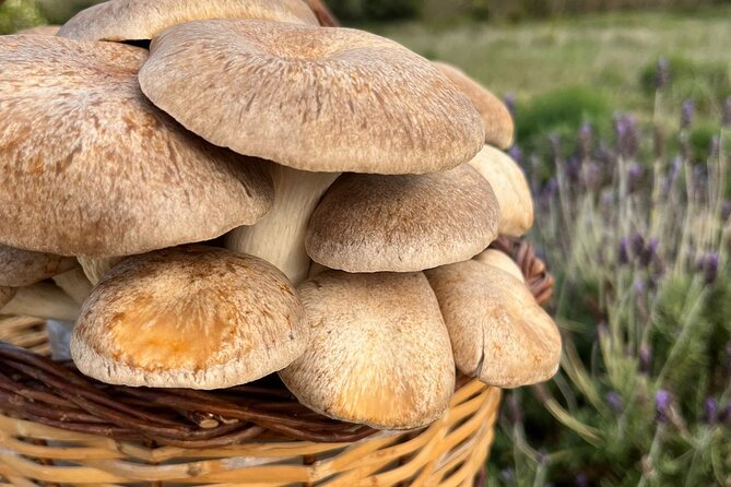 Guided tour and tasting in mushroom cultivation - The Tasting Experience: Flavors and Island Drinks